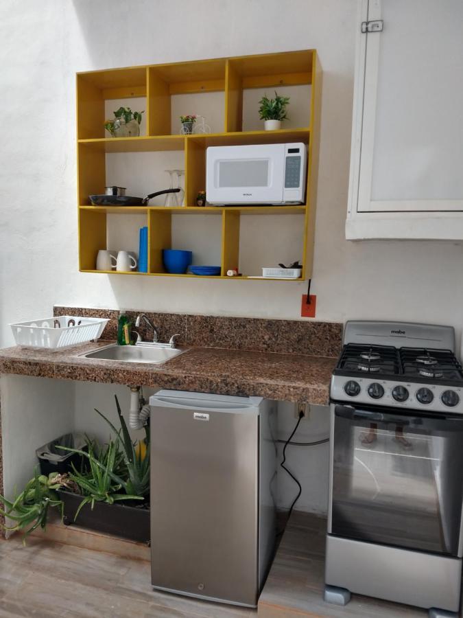 コスメルCasa Esenciaアパートメント エクステリア 写真